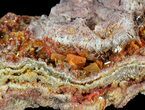 Bright Orange Wulfenite Crystals on Matrix - Rowley Mine, AZ #49382-1
